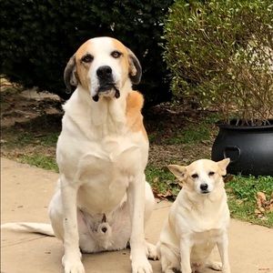 Meet your Posher, Ruby